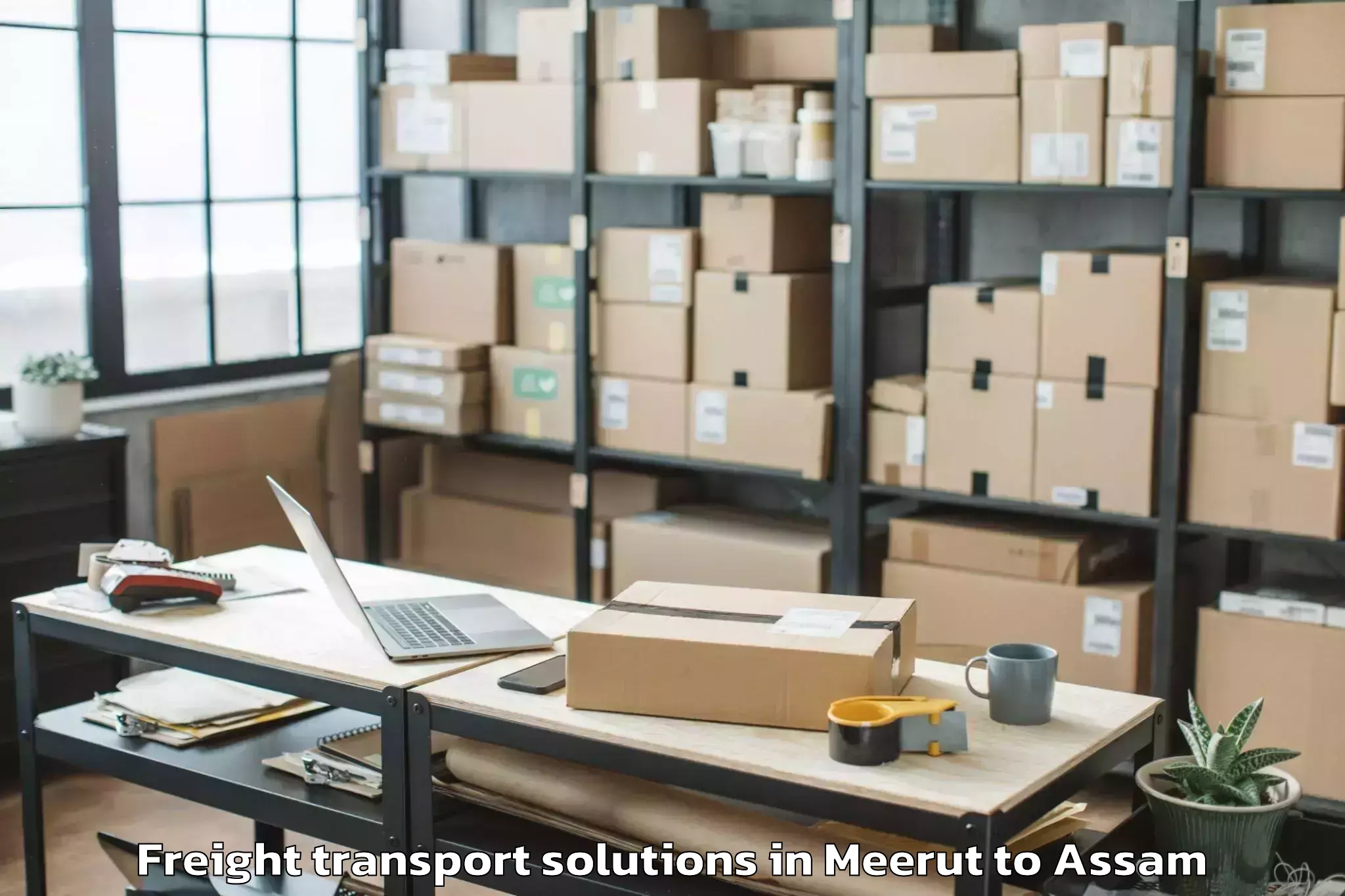 Top Meerut to Sorbhog Freight Transport Solutions Available